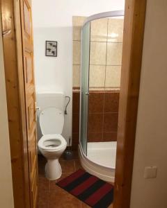 a small bathroom with a toilet and a shower at Vila Rianna in Dunavăţu de Jos