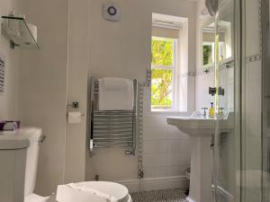 a bathroom with a shower and a toilet and a sink at The Cottage Guest House in Bishops Stortford