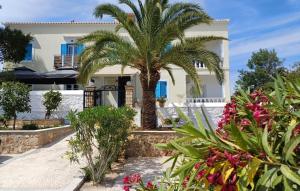 un palmier devant une maison fleurie dans l'établissement Villa Margarita, à Spetses