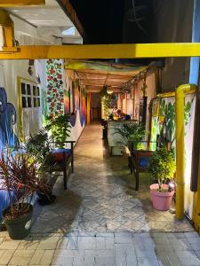 布希奥斯Hostel casa da ana的相册照片
