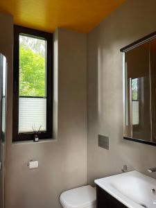 bagno con servizi igienici, lavandino e finestra di Wergelandshaugen a Eidsvoll
