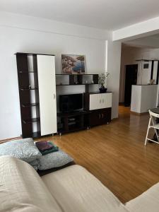 Comfort Stay Apartment - Free Parking & Wi-Fi في Roşu: غرفة معيشة مع أريكة ورف كبير للكتاب