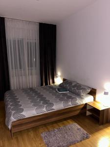 Comfort Stay Apartment - Free Parking & Wi-Fi في Roşu: سرير في غرفة نوم فيها مصباحين ونافذة
