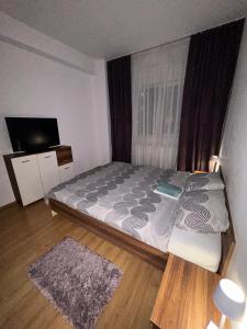 Comfort Stay Apartment - Free Parking & Wi-Fi في Roşu: غرفة نوم صغيرة بها سرير وتلفزيون