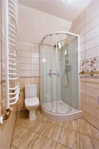 łazienka z prysznicem i toaletą w obiekcie Gościniec Horb w Wetlinie