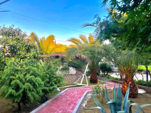 Giardino di Lukas's house