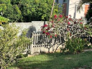 Κήπος έξω από το Villa Noo La