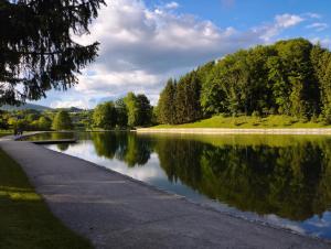 una masa de agua con árboles en el fondo en Vikendica Mia Balkana, en Mrkonjić Grad