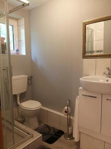 a bathroom with a toilet and a sink at Schloss Kobershain in Schildau