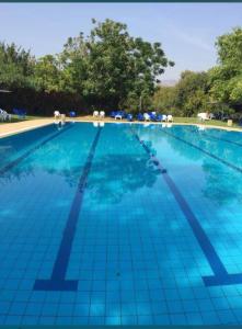 una gran piscina con azulejos azules. en Cute Apartment hagoshrim, en Hagoshrim