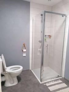 a bathroom with a toilet and a glass shower at Maison conviviale à Farschviller in Farschviller +21 photos