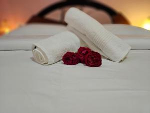 Imagen de la galería de Linda's Guest House, en Berat 17 fotos más