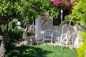 Zahrada ubytování Casa da Bugainvillea