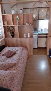 a small room with a bed and a kitchen at Aleksinac Centar-Vojislav Eror in Aleksinac