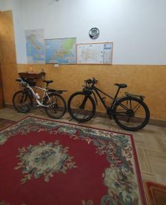 Hotel Ristorante Supersonik في Acri: اثنين من الدراجات متوقفة في غرفة مع سجادة