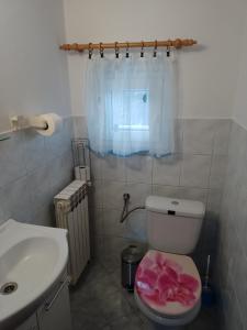 a bathroom with a toilet with a pink flower on the seat at House Polane in the Forest, 45 km from Seaside in Delnice +18 photos