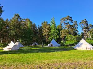 grupa namiotów na polu z drzewami w obiekcie Glempings Bērzciema Lagūna w mieście Bērzciems