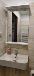 Koupelna v ubytování Apartmán Na Skále + 2 fotografie