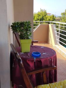 a table with a potted plant on a balcony at The house next to the canal ! in Nea Moudania