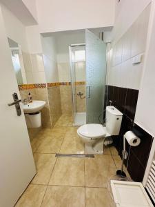 La salle de bains est pourvue de toilettes, d'un lavabo et d'une douche. dans l'établissement Dovolenkovy dom v centre Pieštan, à Piešťany