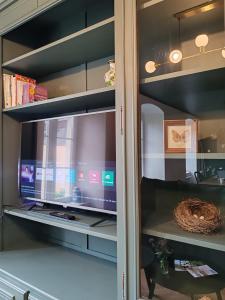 Televisyen dan/atau pusat hiburan di L'Oiseau vert - calme, ressourçant et proche du centre ville