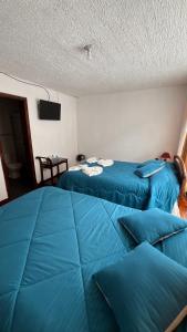 Katil atau katil-katil dalam bilik di Hotel Espindola