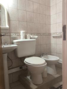 a bathroom with a toilet and a sink at Monoambiente Lasabu in Godoy Cruz