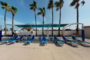 a group of blue lounge chairs and palm trees at Long Island Village Unit 658 in Port Isabel
