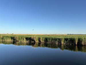 a body of water with grass and a blue sky at Dom Nad Łęgami in Świnoujście