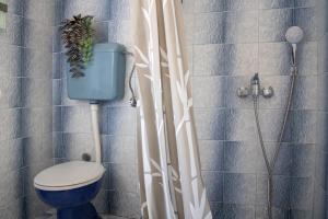 a bathroom with a toilet and a shower at House Private beach in Bibinje +35 photos