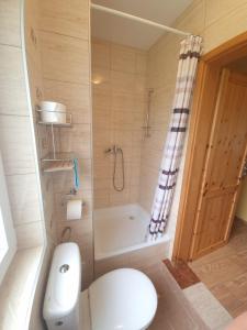 a small bathroom with a toilet and a shower at Noclegi u Kowala 602-793-591 in Solina +21 photos