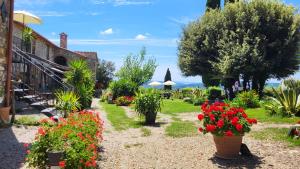 A garden outside Agriturismo Podere Le Palaie