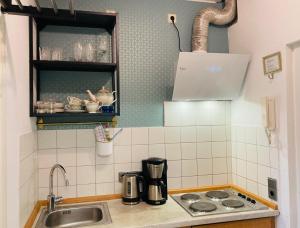 オストゼーバート・ディアーハーゲンにあるOstsee Ferienappartements Dierhagen-Strand klein & feinのキッチン(シンク、カウンタートップ付)