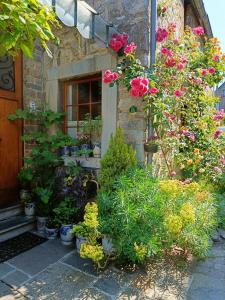 Zahrada ubytování Le Jardin des Miroirs