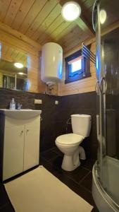 a bathroom with a toilet and a sink at "OhMazury" ogród i winnica in Giżycko +46 photos