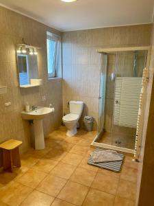 a bathroom with a toilet and a sink and a shower at Airport Jazmin Guesthouse in Vecsés