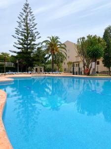une grande piscine bleue avec des palmiers et un bâtiment dans l'établissement Great Duplex Apartment in Marbesa, à Marbella