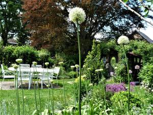 Zahrada ubytování Le Jardin des Miroirs