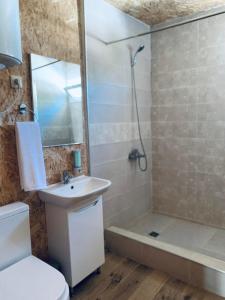 y baño con aseo, lavabo y ducha. en Korenishuli Veranda Wine Hotel, en Tsʼageri