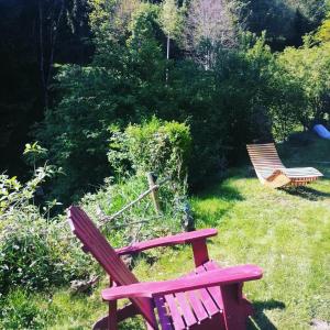 un banc rouge assis dans l'herbe dans une cour dans l'établissement Lodge bien être et nature, à Soultzeren