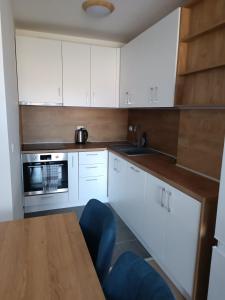 Η κουζίνα ή μικρή κουζίνα στο 1 Zimmer Appartement