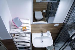 La salle de bains est pourvue d'un lavabo, de toilettes et d'un miroir. dans l'établissement La Stella di Via Venezia, à Marina di Carrara