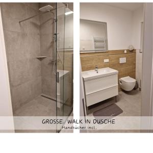 a bathroom with a shower and a sink and a toilet at Ferienwohnung Katzensprung Jonsdorf in Kurort Jonsdorf