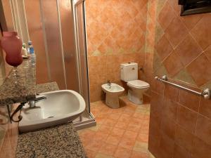 a bathroom with a sink and a toilet at Canton Pasquera in Agrano +11 photos