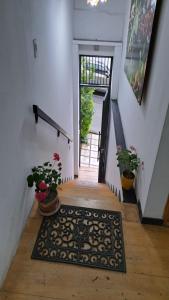 a hallway with a stairway with a rug and plants at Yellow House in Manizales