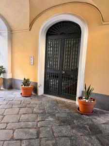 a black door with two potted plants in front of it at B&B Kike in Catania