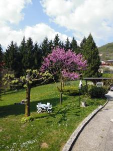 Fotografia z galérie ubytovania B&B I Baloss v destinácii Berbenno