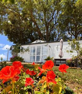 uma casa com flores vermelhas em frente em Casa Floravista em Bombarral