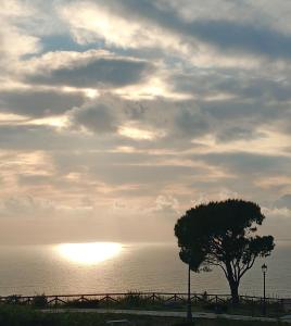 a tree in front of the ocean with the sunset at Hotel Villa Principe in San Nicola Arcella