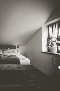 Afbeelding uit fotogalerij van Chata u Cecila in Loučná nad Desnou